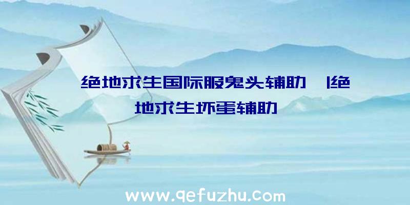 「绝地求生国际服鬼头辅助」|绝地求生坏蛋辅助